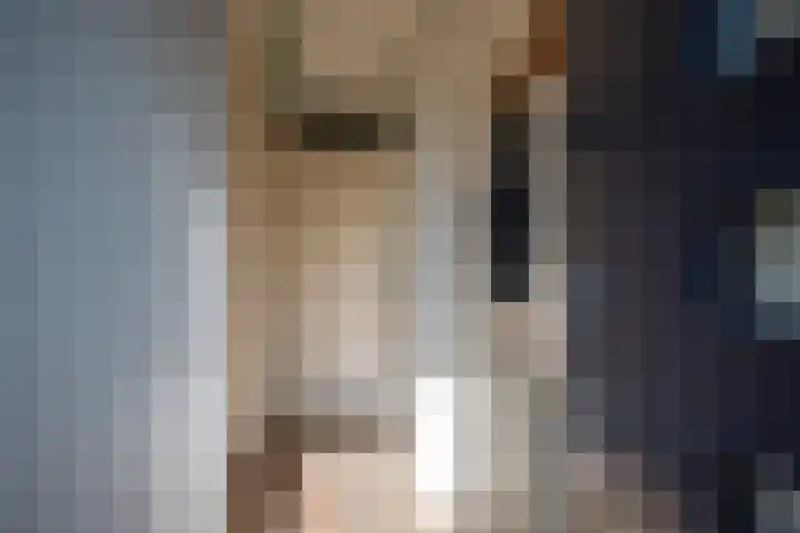 Linnenweverstraat 24 Zwolle thumbnail 12