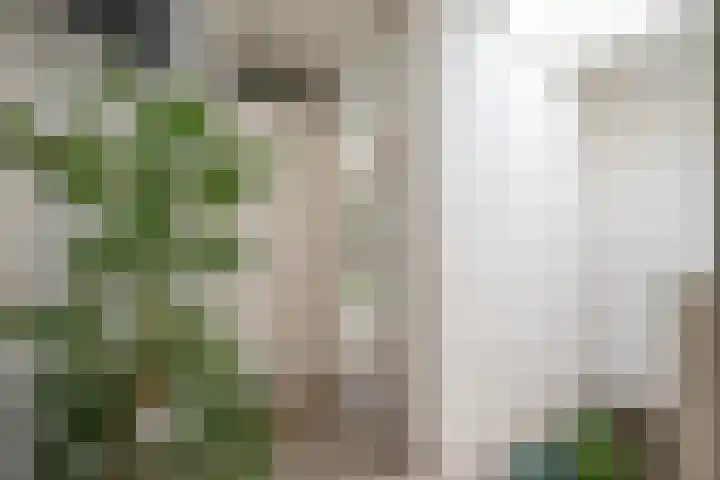 Linnenweverstraat 24 Zwolle thumbnail 25