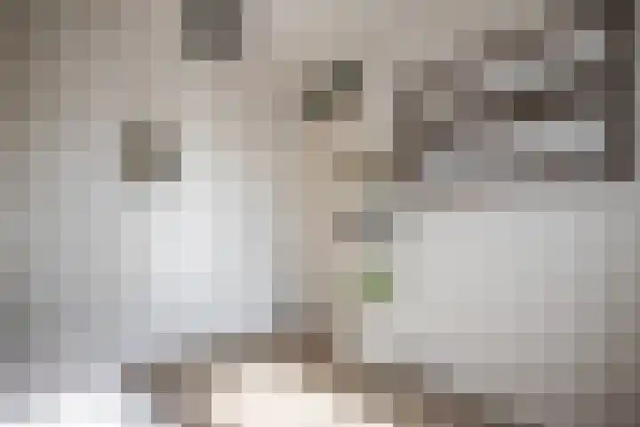 Linnenweverstraat 24 Zwolle thumbnail 26