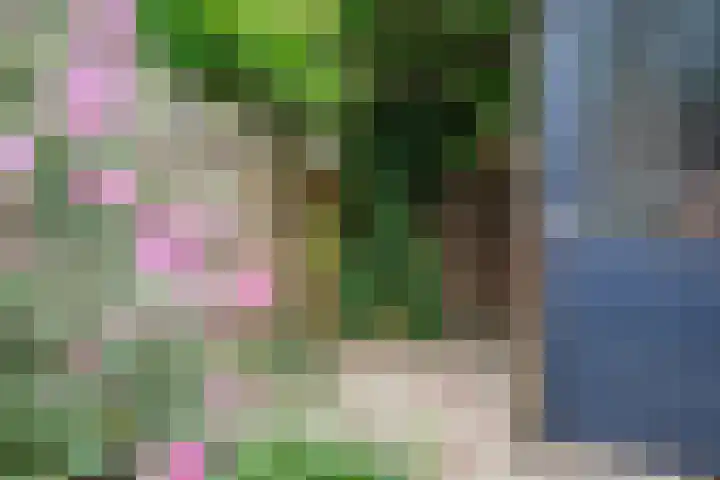 Linnenweverstraat 24 Zwolle thumbnail 35