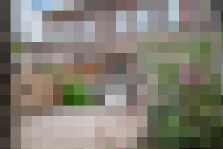 Linnenweverstraat 24 Zwolle thumbnail 36