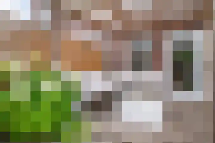 Linnenweverstraat 24 Zwolle thumbnail 9