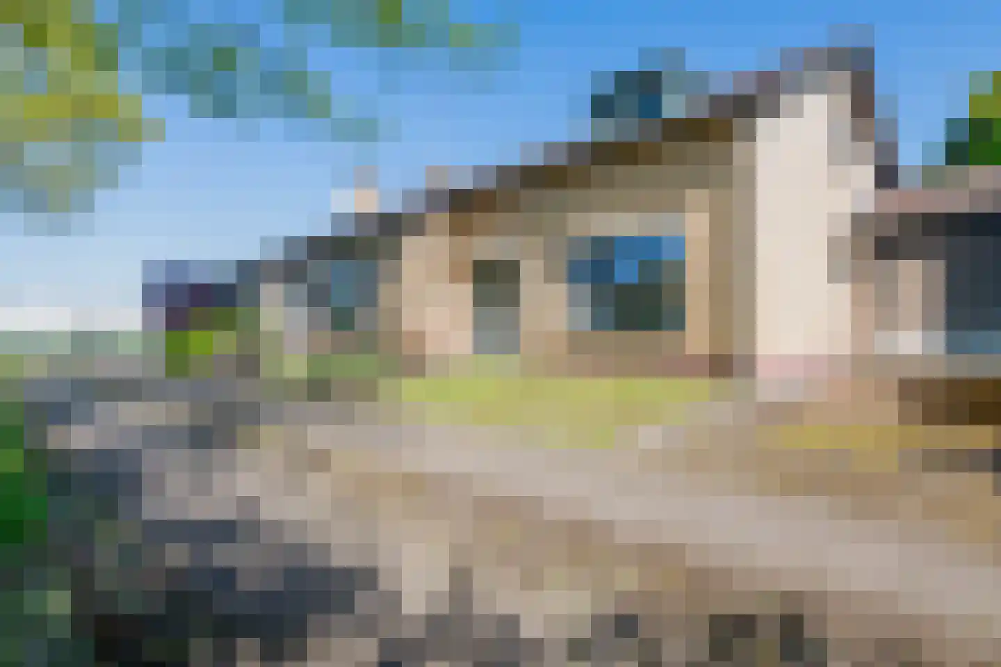Linnerweg 4 Sint Odiliënberg thumbnail 6