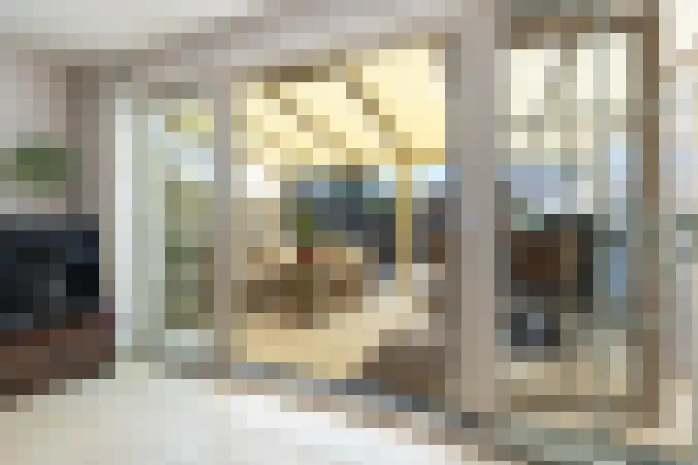 Lino 5 Capelle aan den IJssel thumbnail 12