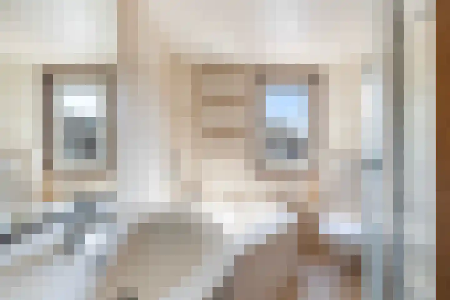 Lino 5 Capelle aan den IJssel thumbnail 4