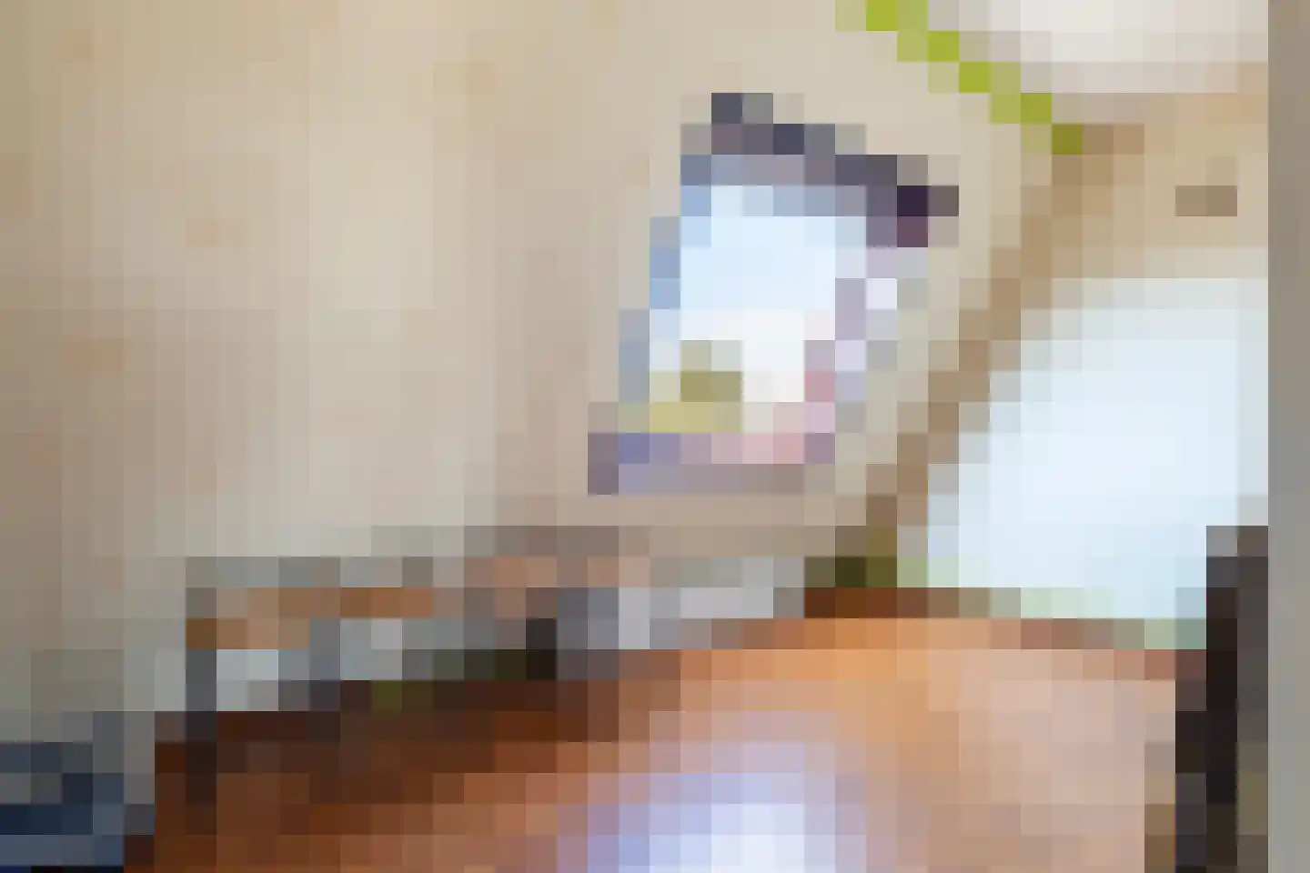 Lino 5 Capelle aan den IJssel thumbnail 40