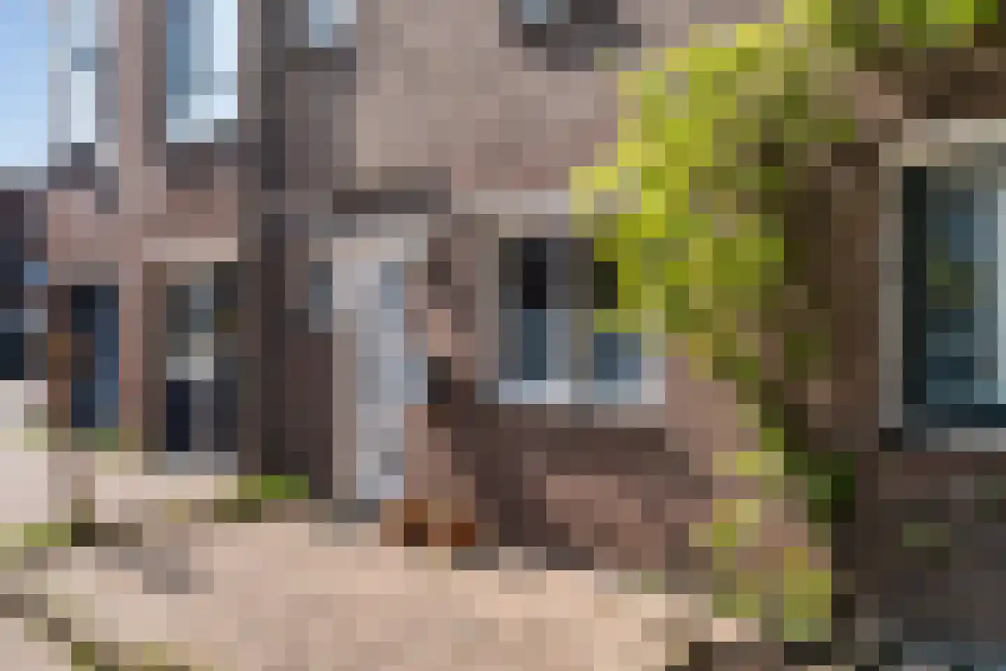 Lino 5 Capelle aan den IJssel thumbnail 5