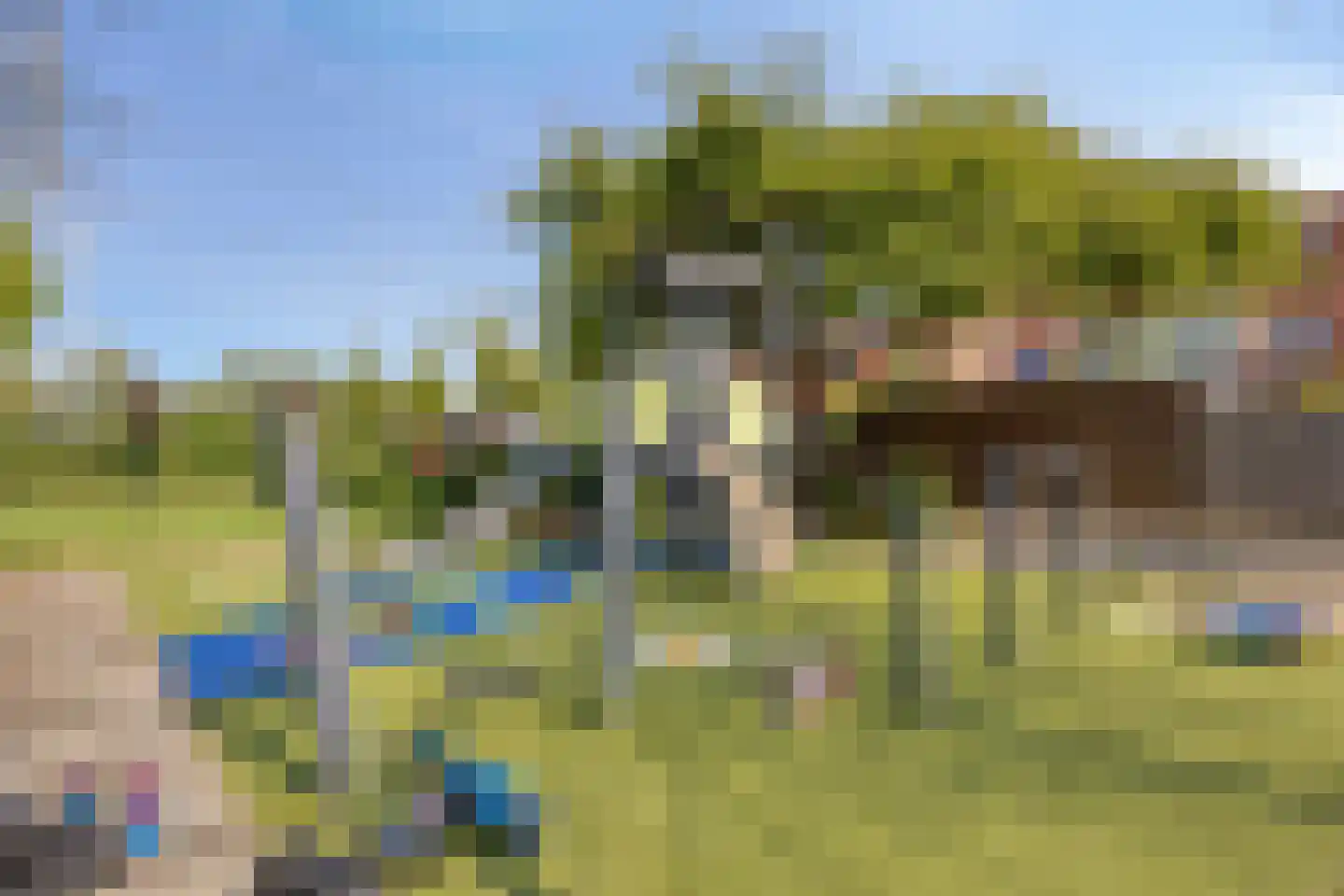 Lino 9 Capelle aan den IJssel thumbnail 12
