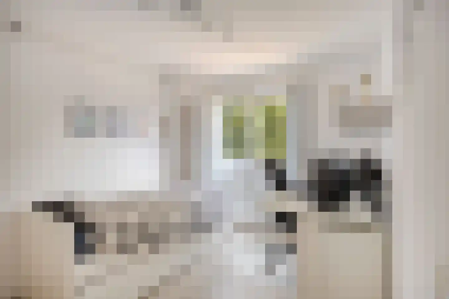 Lino 9 Capelle aan den IJssel thumbnail 22