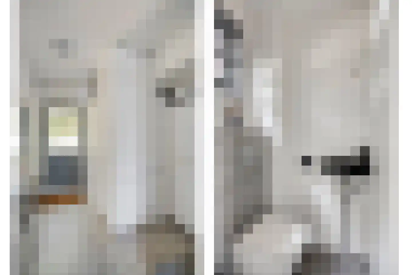Lino 9 Capelle aan den IJssel thumbnail 31