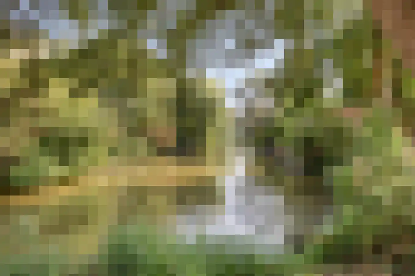 Lino 9 Capelle aan den IJssel thumbnail 38