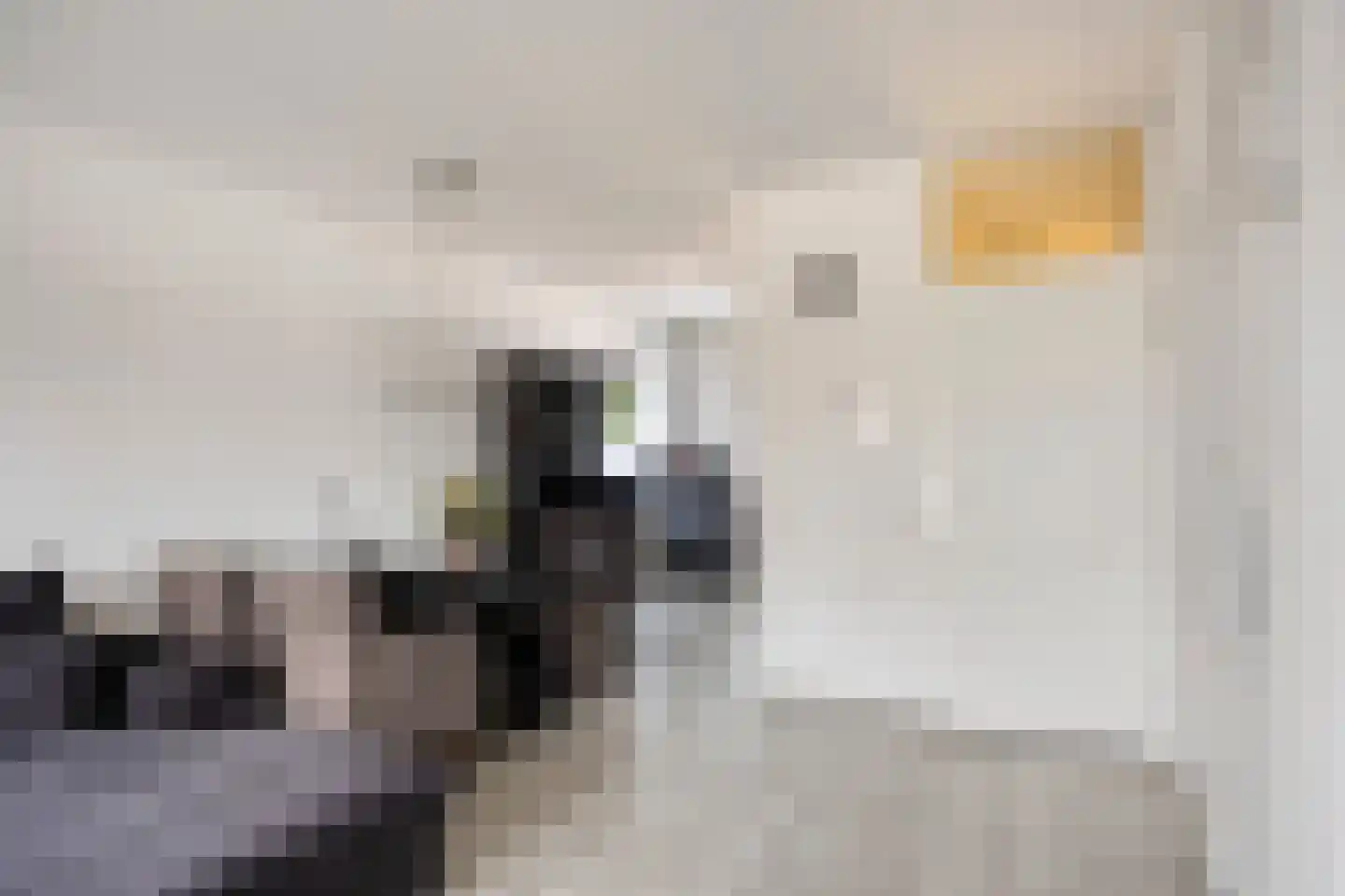 Lino 9 Capelle aan den IJssel thumbnail 6