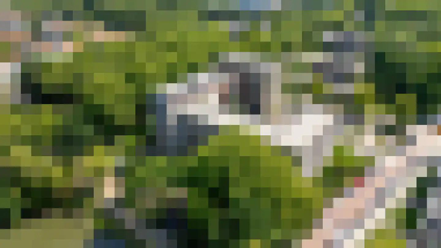 Linschotensingel 1 C H Utrecht thumbnail 40
