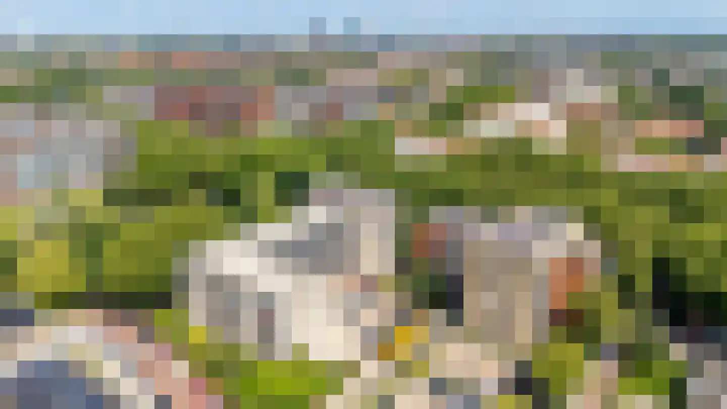 Linschotensingel 1 C H Utrecht thumbnail 41
