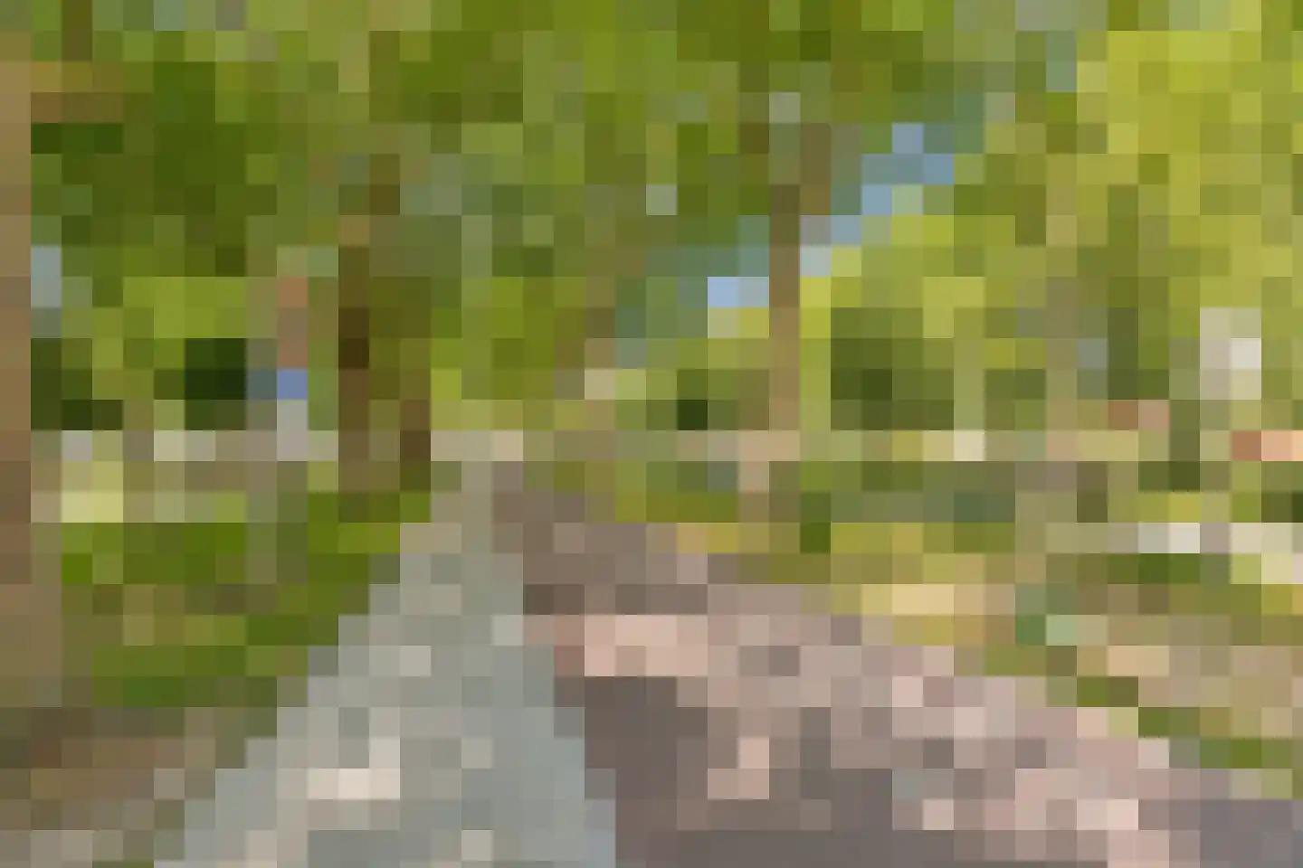 Linschotensingel 1 C H Utrecht thumbnail 44
