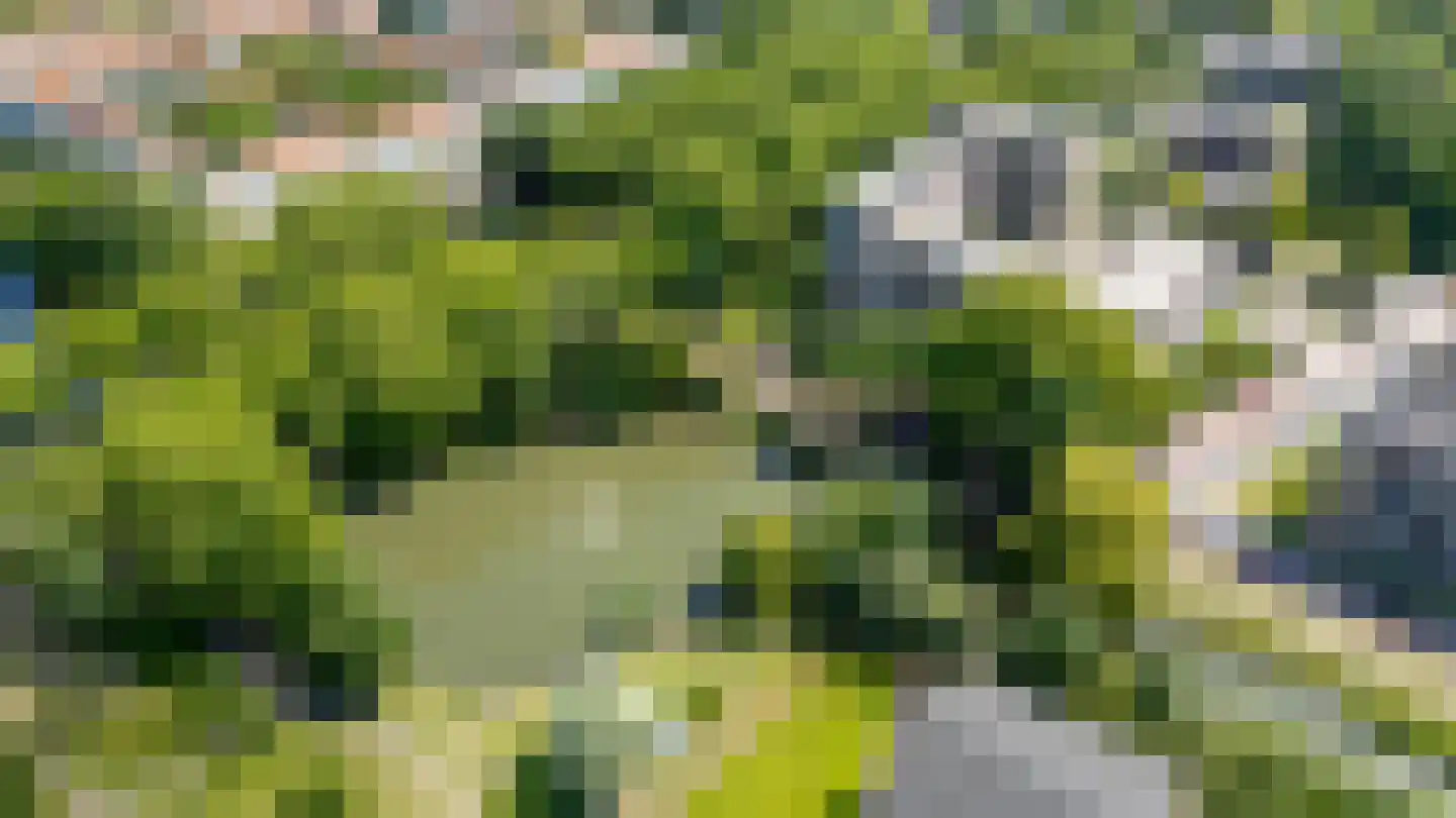Linschotensingel 1 C J Utrecht thumbnail 42