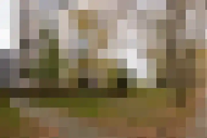 Linschotensingel 1 E C Utrecht thumbnail 4