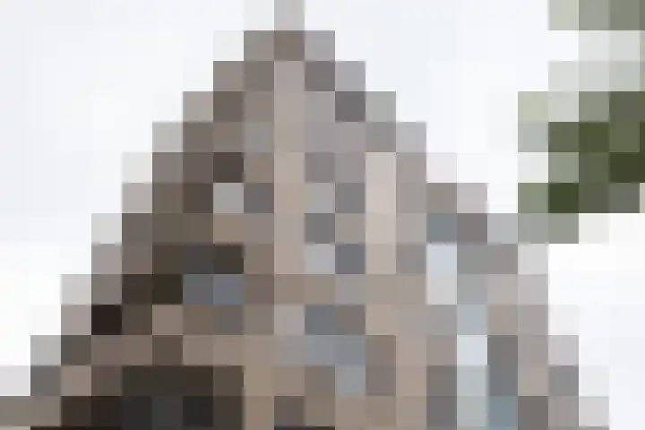 Linschotensingel 1 E C Utrecht thumbnail 5