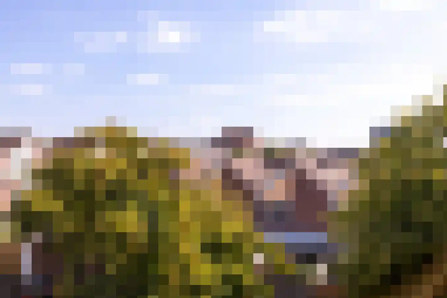 Linschotenstraat 68 RD Haarlem thumbnail 22