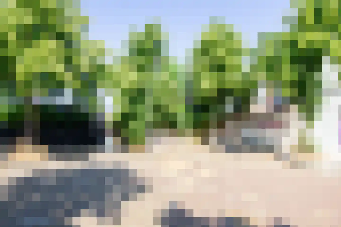 Linschotenstraat 68 ZW Haarlem thumbnail 22