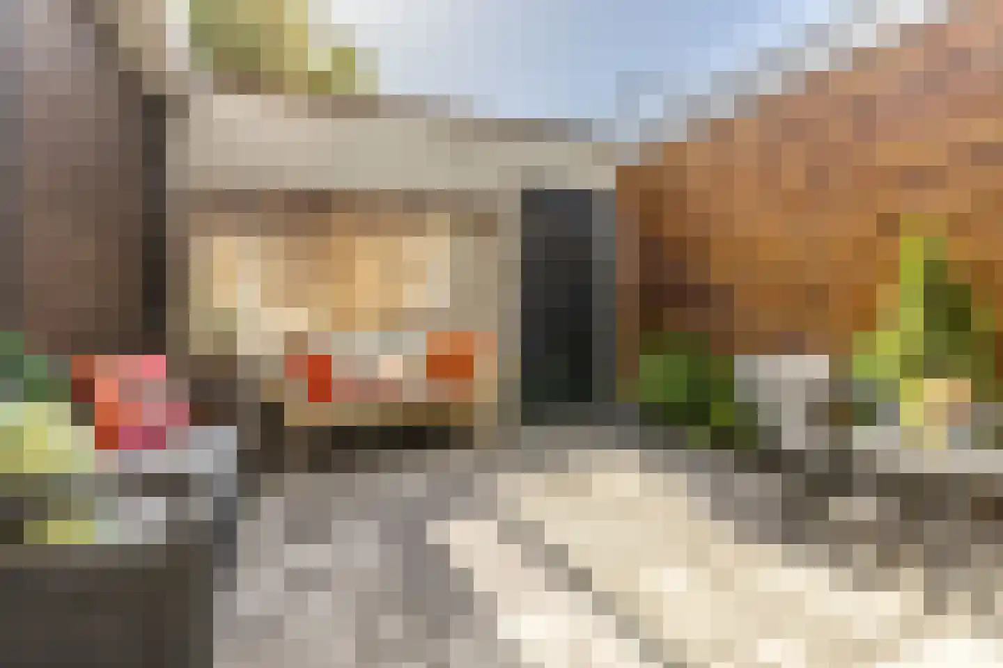 Linschotenstraat 74 ZW Haarlem thumbnail 4
