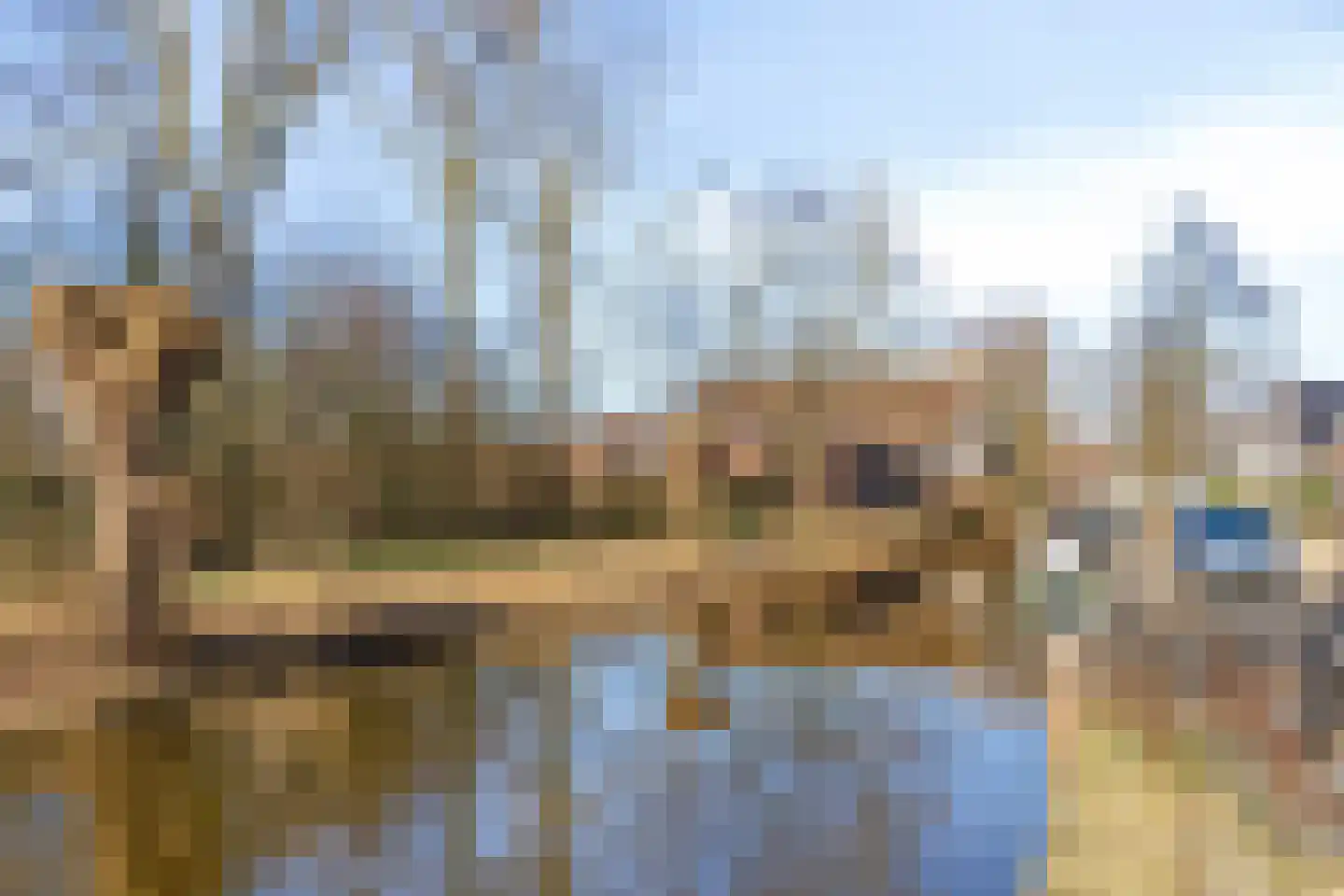 Linschoterweg 21 Woerden thumbnail 24