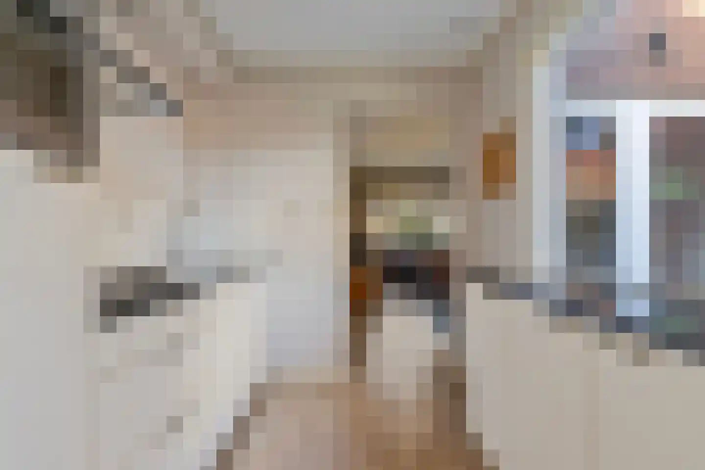 Linschoterweg 21 Woerden thumbnail 5