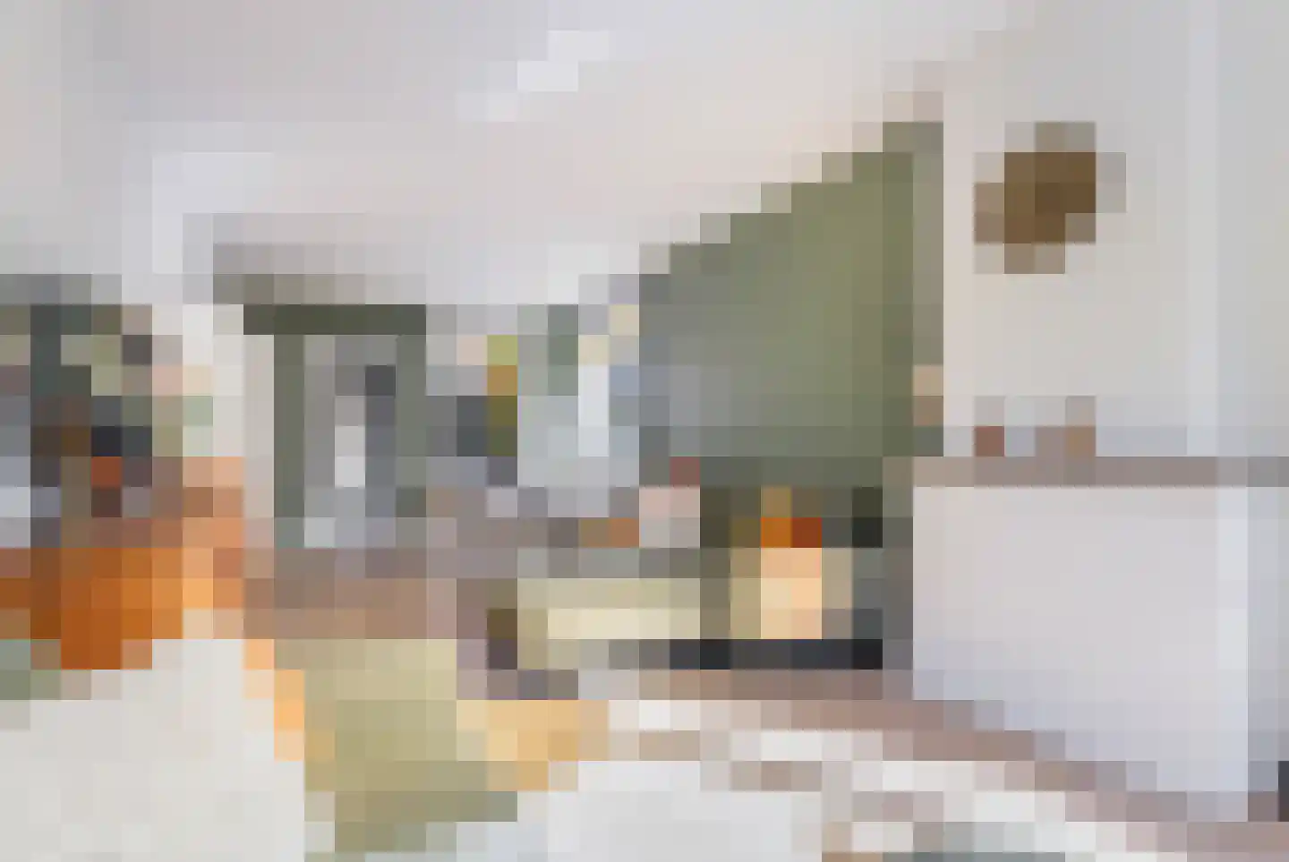 Linschoterweg 37 Woerden thumbnail 11