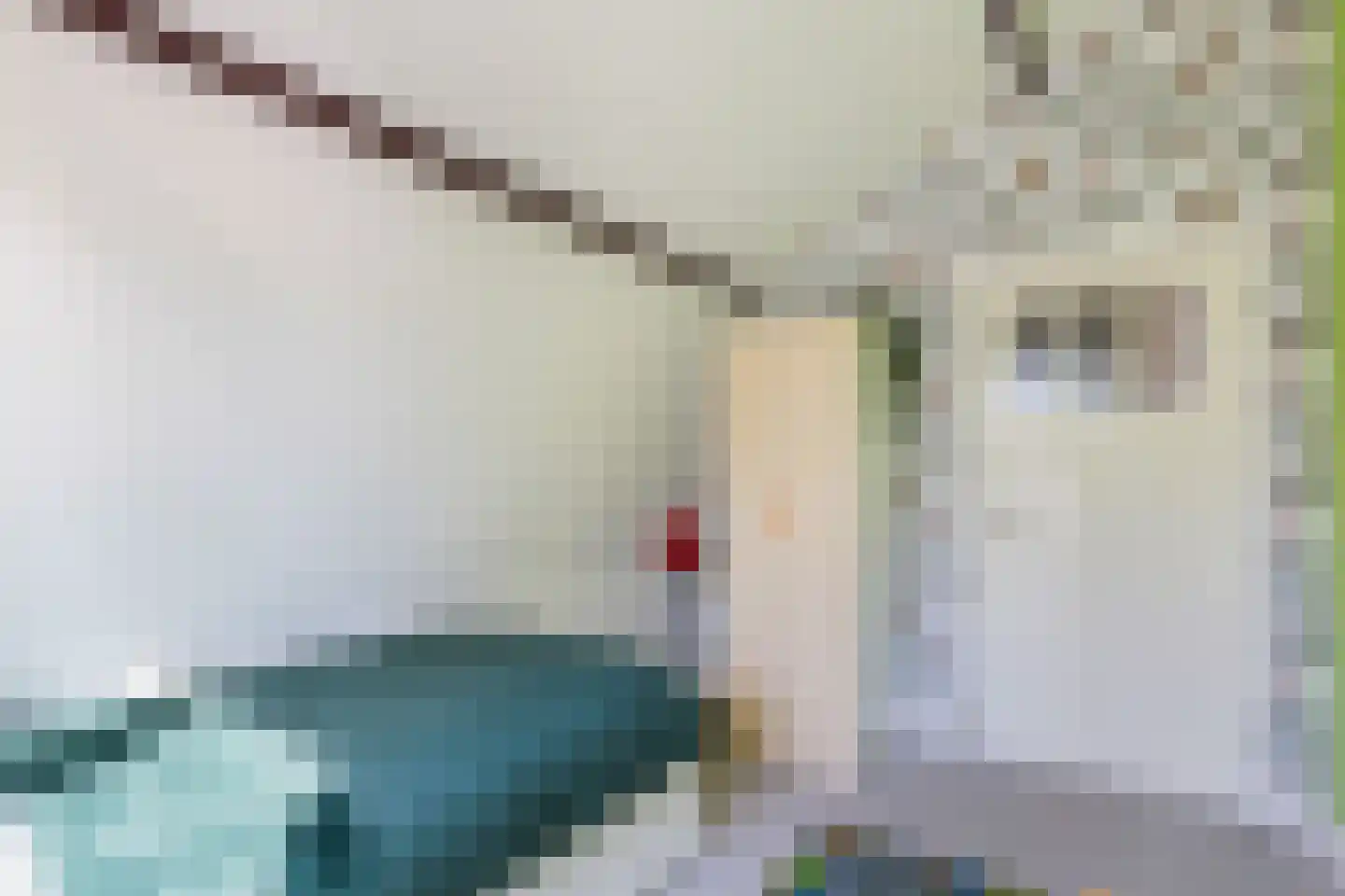 Linschoterweg 37 Woerden thumbnail 28