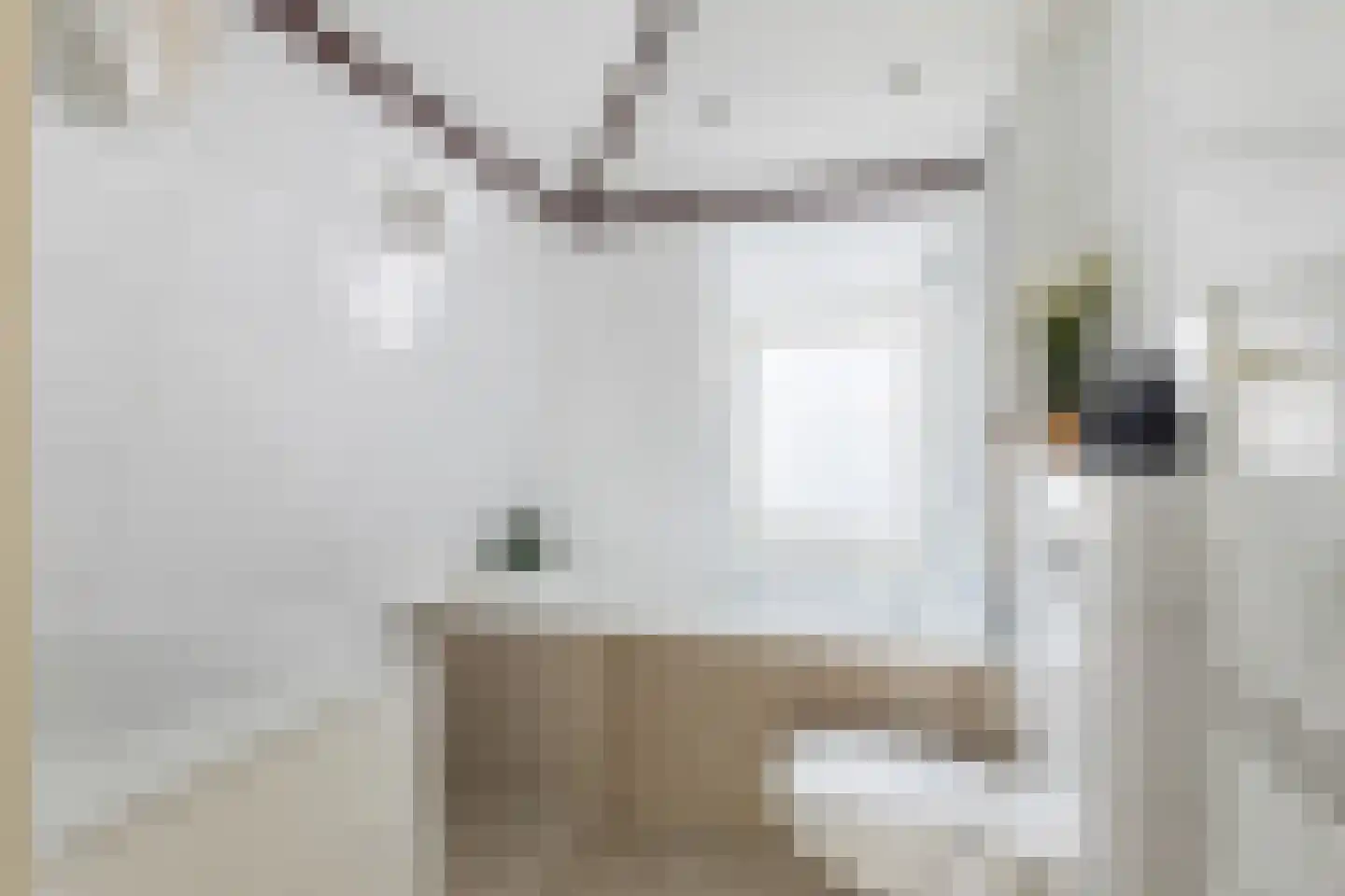 Linschoterweg 37 Woerden thumbnail 32