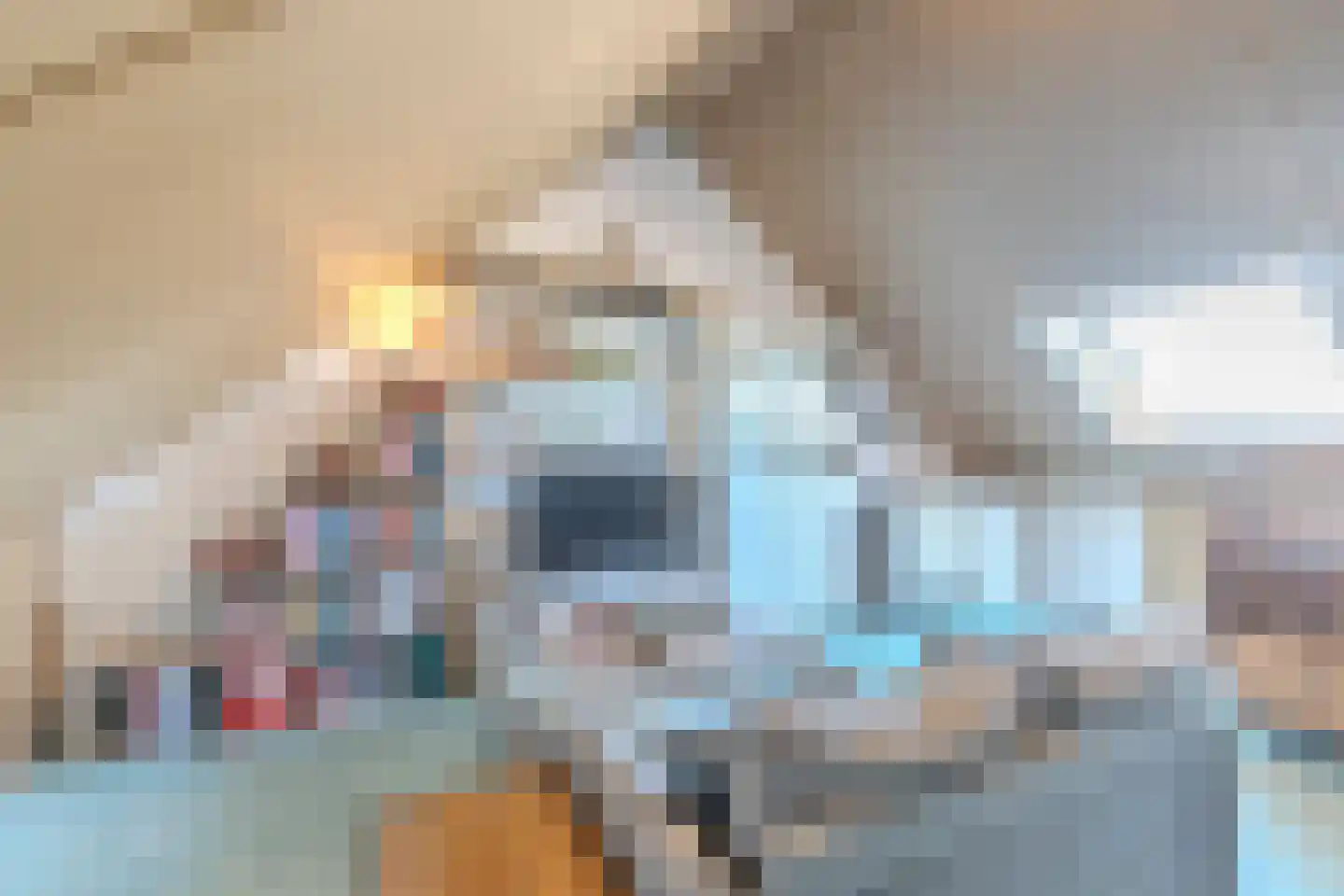 Lint 20 Lage Zwaluwe thumbnail 26