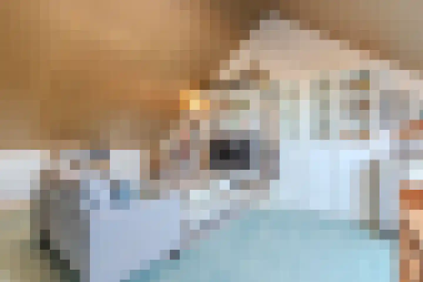 Lint 20 Lage Zwaluwe thumbnail 28