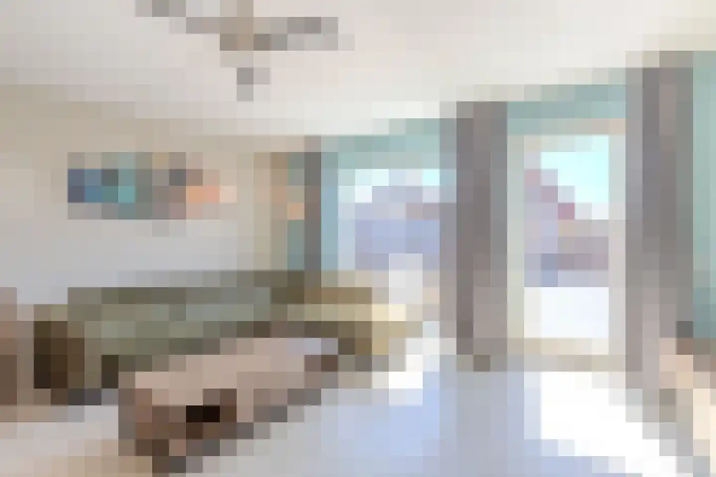 Lint 20 Lage Zwaluwe thumbnail 8