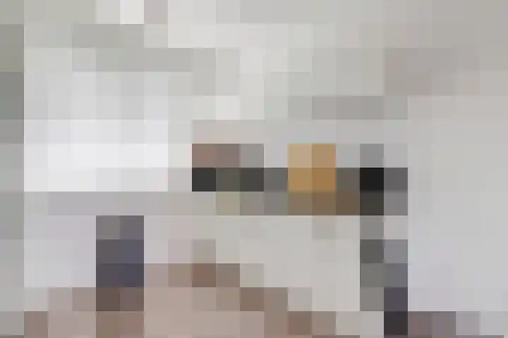 Lint 30 Lage Zwaluwe thumbnail 12