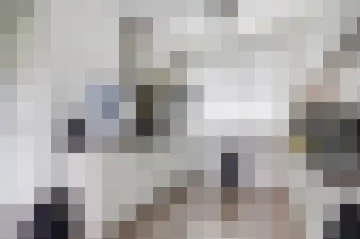 Lint 30 Lage Zwaluwe thumbnail 13