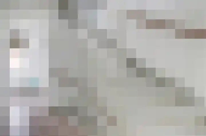 Lint 30 Lage Zwaluwe thumbnail 14