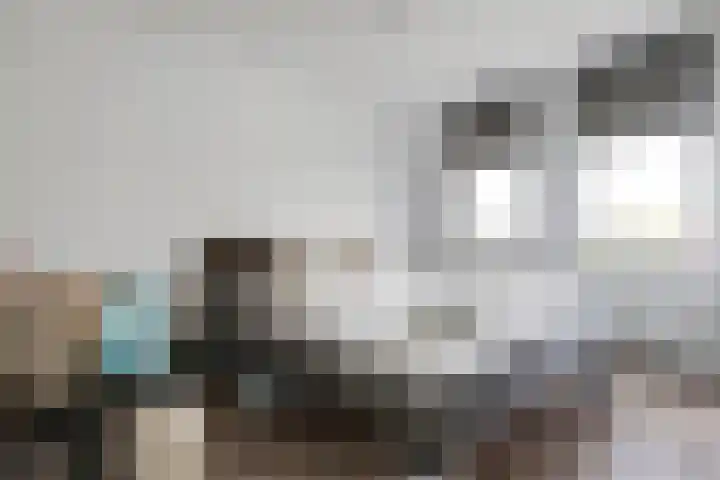 Lint 30 Lage Zwaluwe thumbnail 15