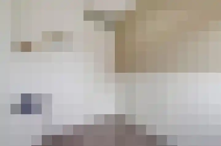 Lint 30 Lage Zwaluwe thumbnail 18