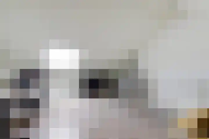 Lint 30 Lage Zwaluwe thumbnail 23