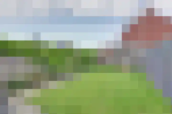 Lint 30 Lage Zwaluwe thumbnail 25