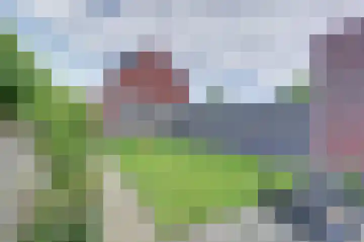 Lint 30 Lage Zwaluwe thumbnail 26