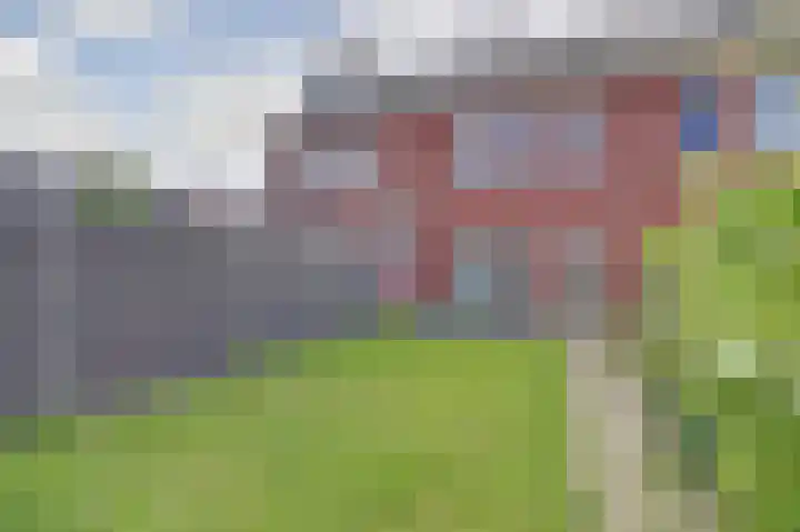 Lint 30 Lage Zwaluwe thumbnail 27