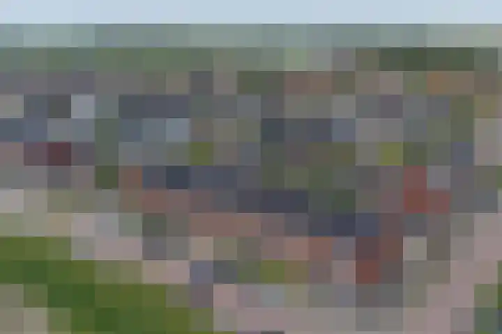 Lint 30 Lage Zwaluwe thumbnail 28