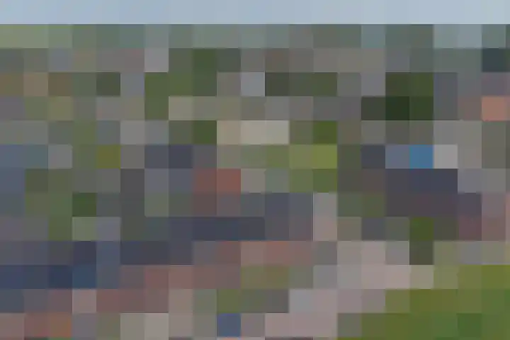 Lint 30 Lage Zwaluwe thumbnail 29