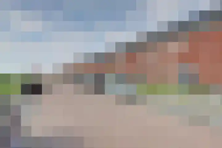 Lint 30 Lage Zwaluwe foto 3