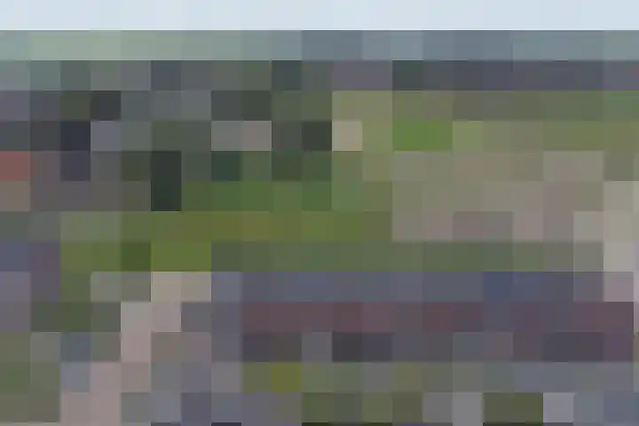 Lint 30 Lage Zwaluwe thumbnail 30