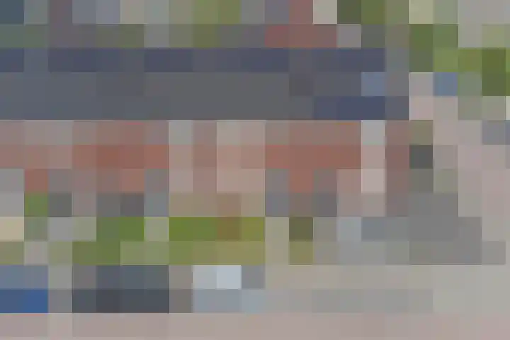 Lint 30 Lage Zwaluwe thumbnail 31
