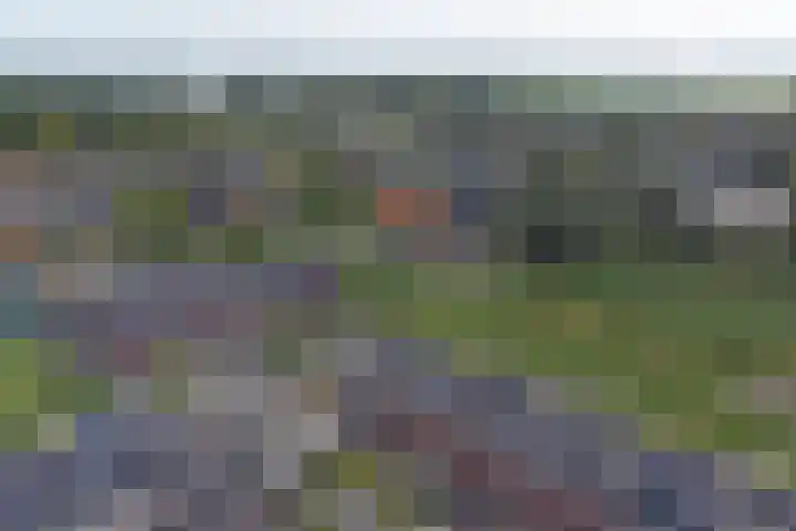 Lint 30 Lage Zwaluwe thumbnail 33