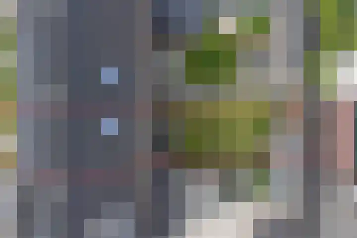 Lint 30 Lage Zwaluwe thumbnail 34