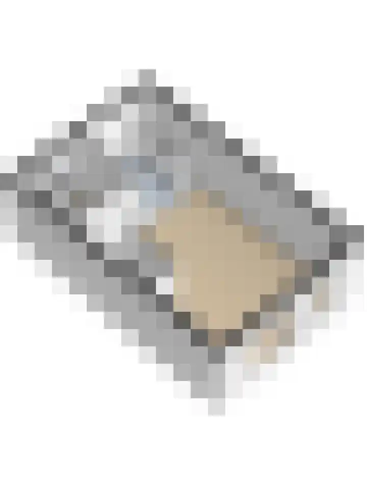 Lint 30 Lage Zwaluwe thumbnail 40